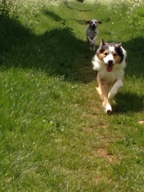 Photo shoot in London