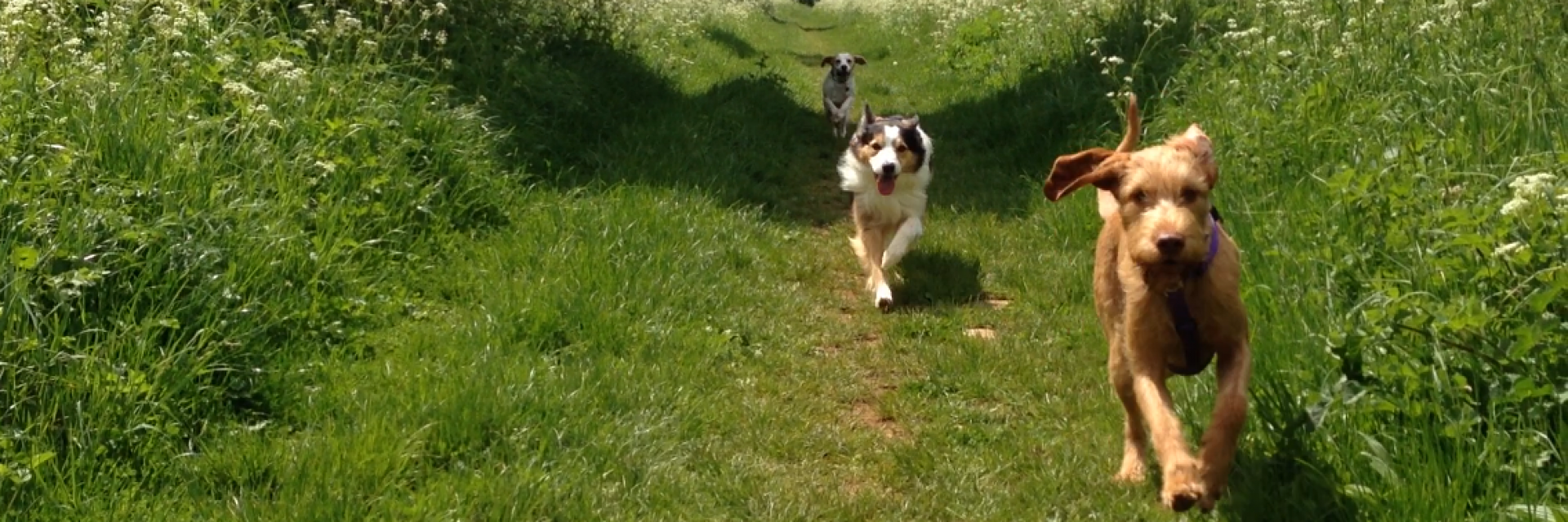 Photo shoot in London